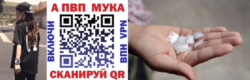 Альфа ПВП СК КРИС  hydra вход  Каргополь 