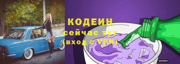 СК Сафоново