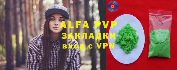 шишки Сатка