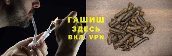 шишки Сатка