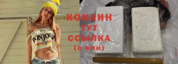 индика Абинск