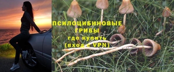 шишки Сатка