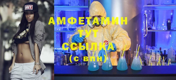 шишки Сатка