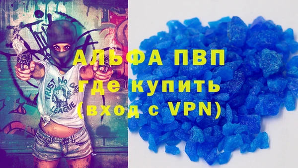 СК Сафоново