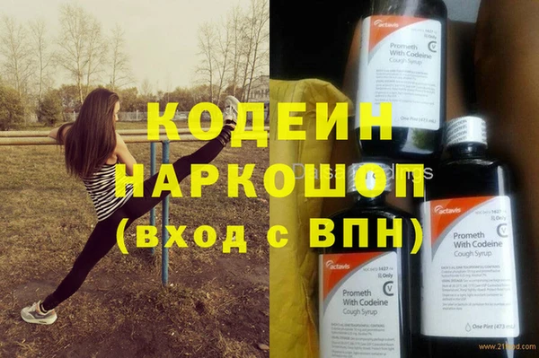 шишки Сатка