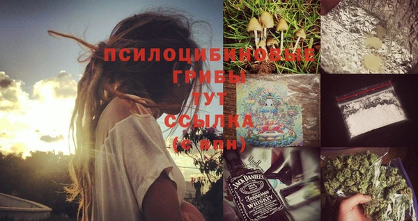 СК Алзамай