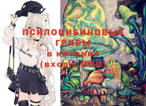 индика Абинск